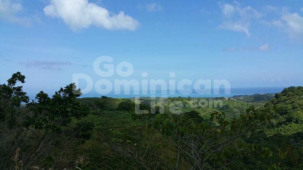 Large Lot with Ocean View