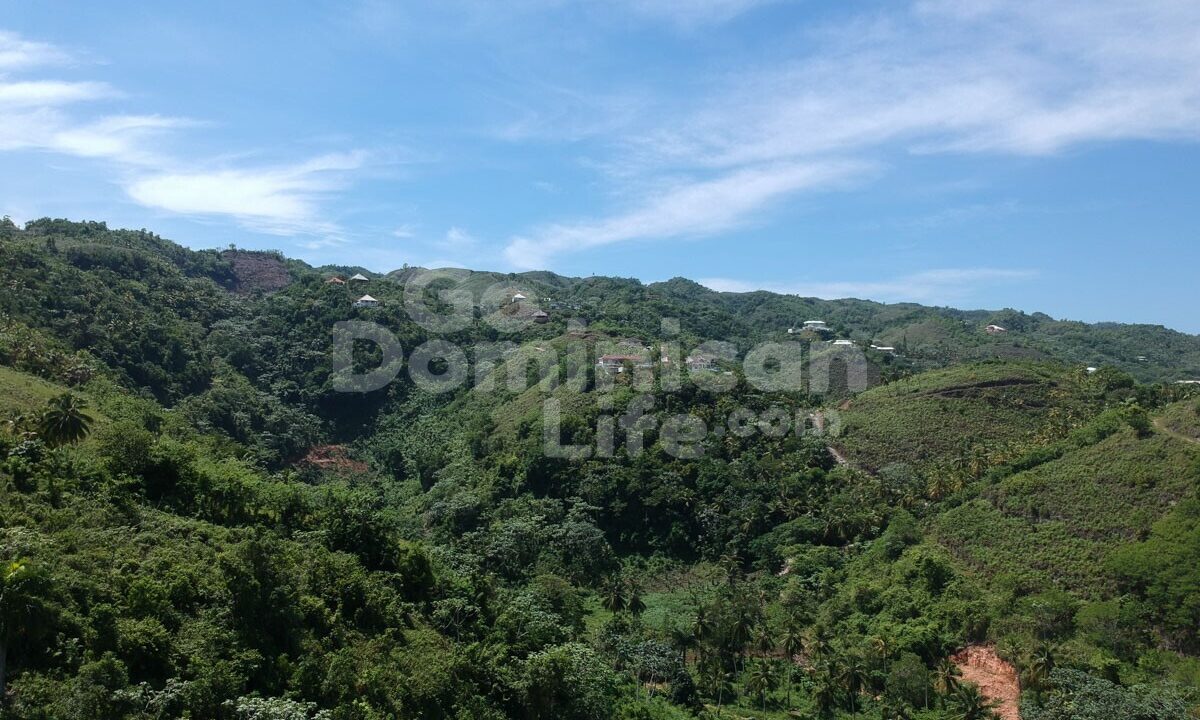 DCIM/100MEDIA/DJI_0532.JPG