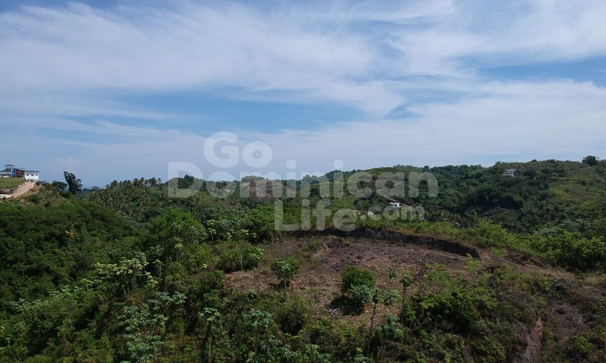 DCIM/100MEDIA/DJI_0533.JPG