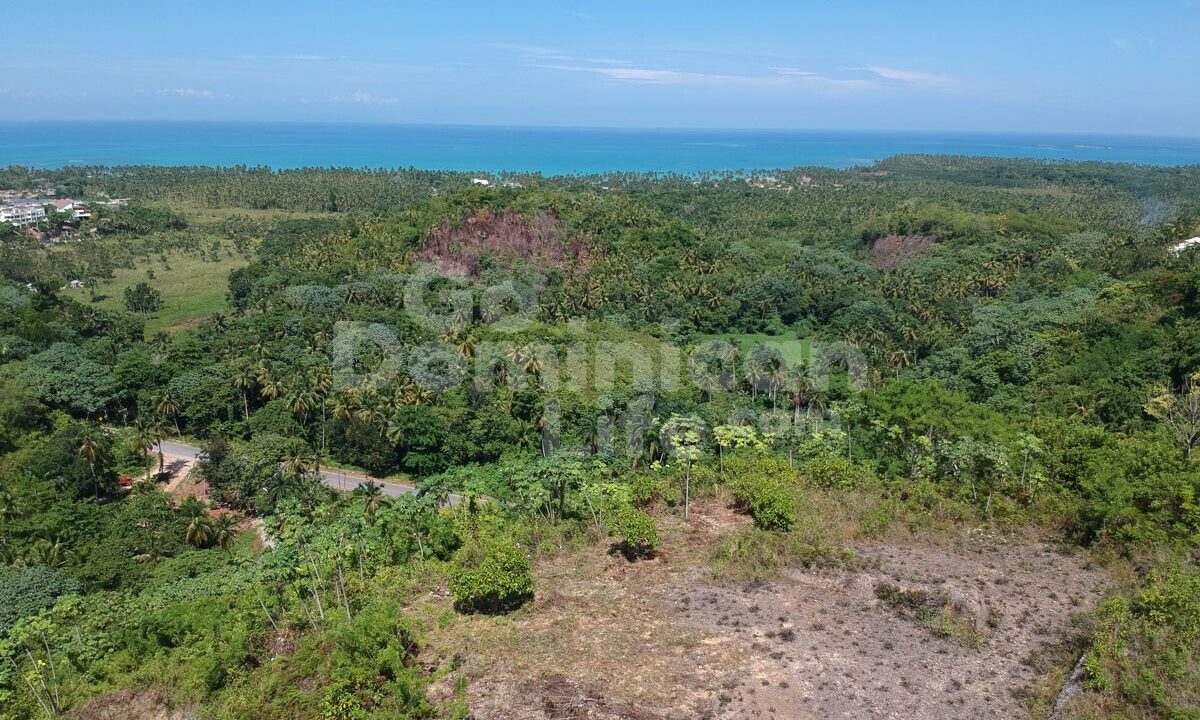 DCIM/100MEDIA/DJI_0534.JPG