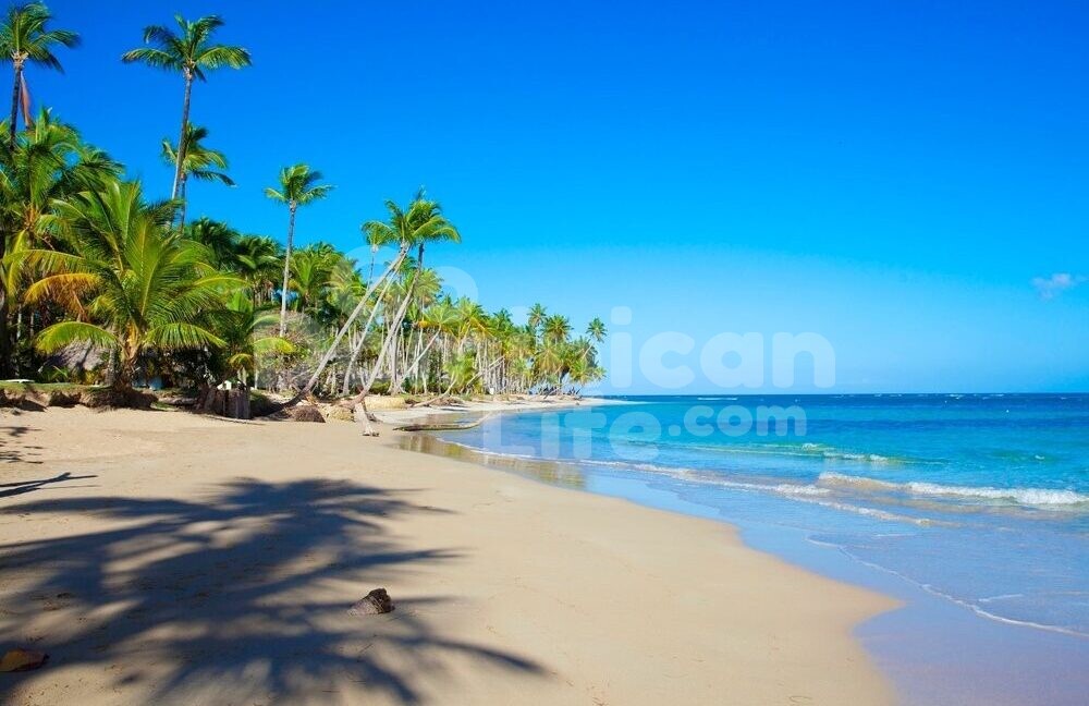Playa+Bonita+beach+las+terrenas+Life