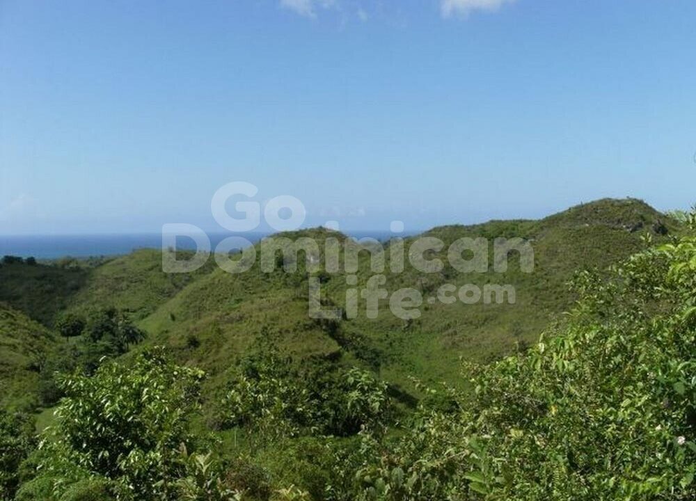 Vue à droite de la loma 1