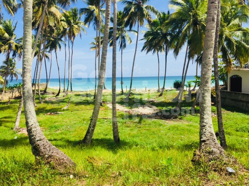Go-dominican-Life-Beachfront-Land-Las-canas005