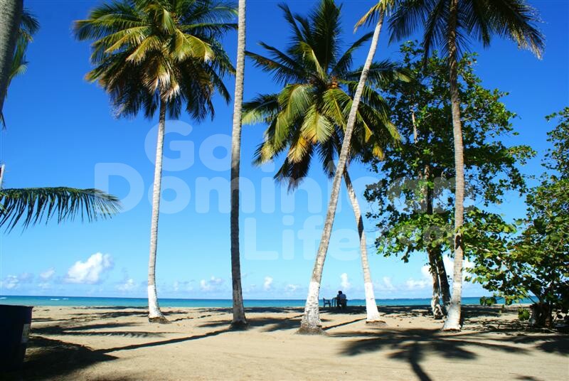 Go-dominican-Life-Beachfront-Land001