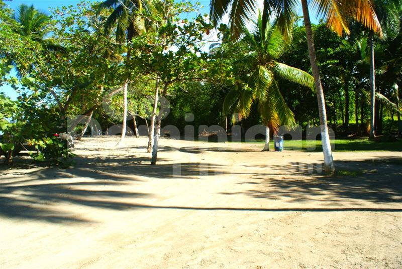 Go-dominican-Life-Beachfront-Land004