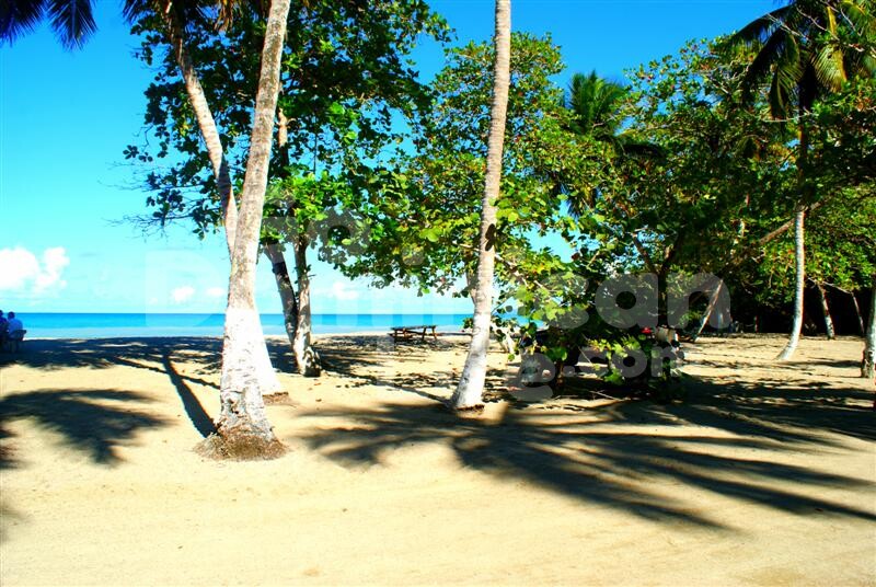 Go-dominican-Life-Beachfront-Land008