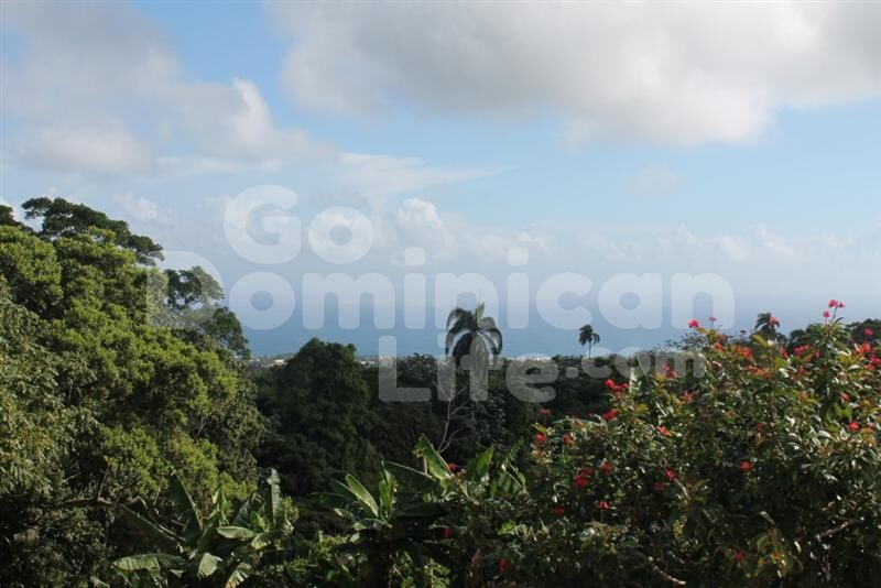 Dominican-Republic-Real-Estate-cabrera-oceanview030