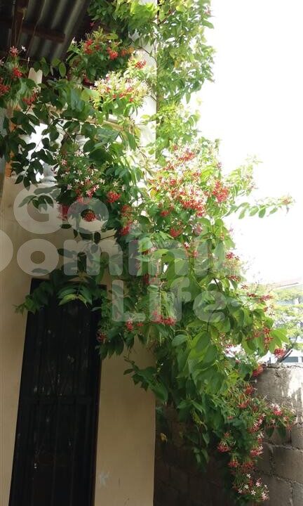 Sosua- Las-Terrenas-Real-Estate-villa-for-sale042