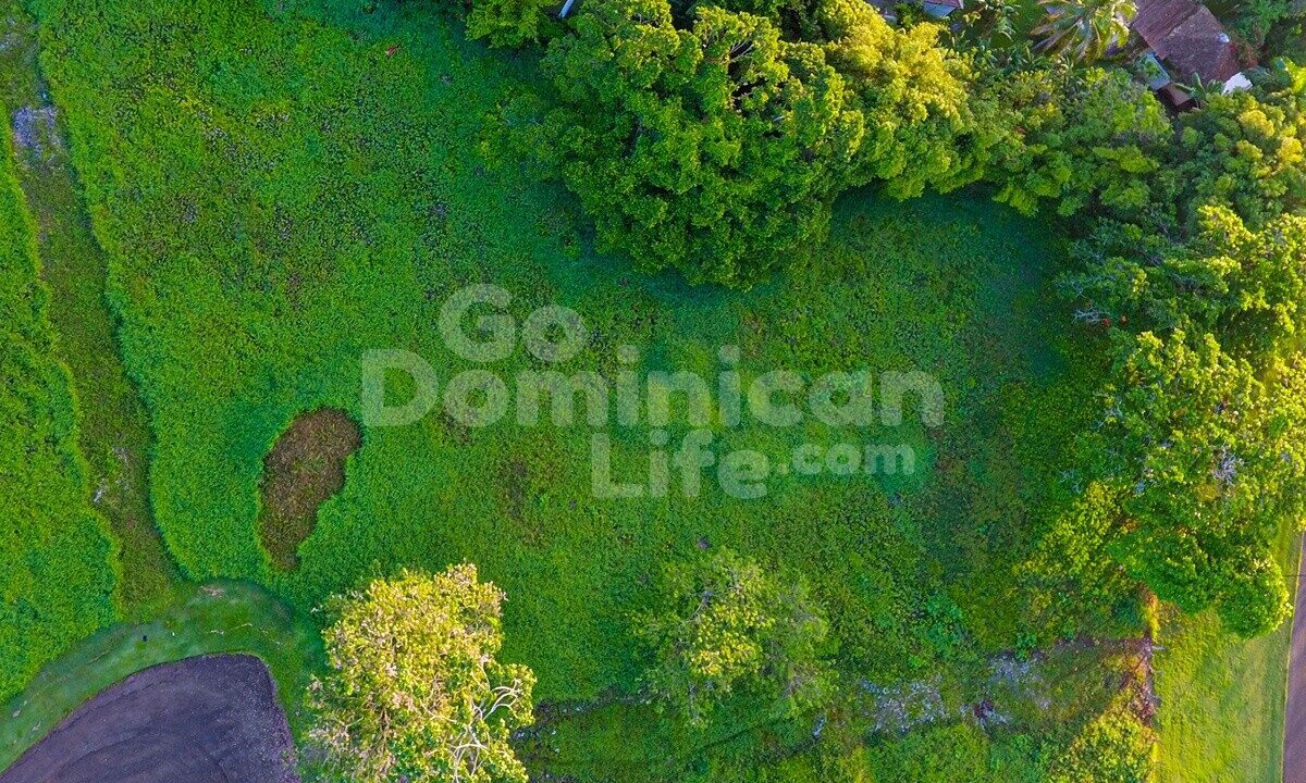DJI_0009