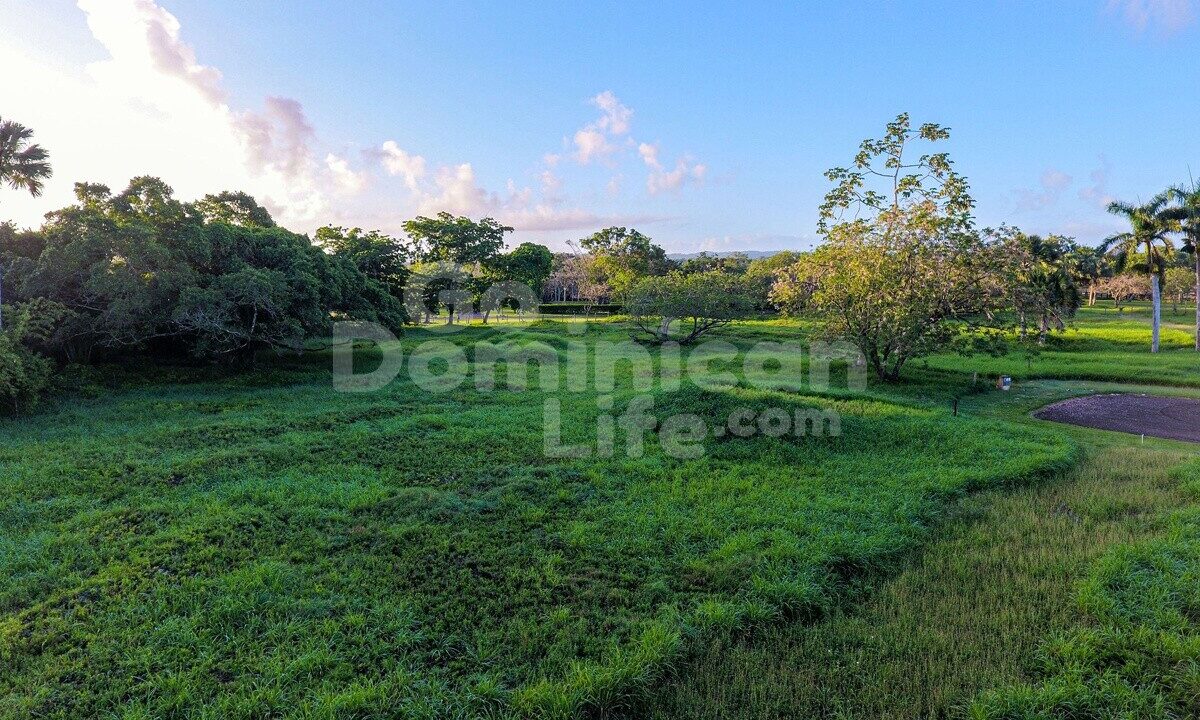 DJI_0012