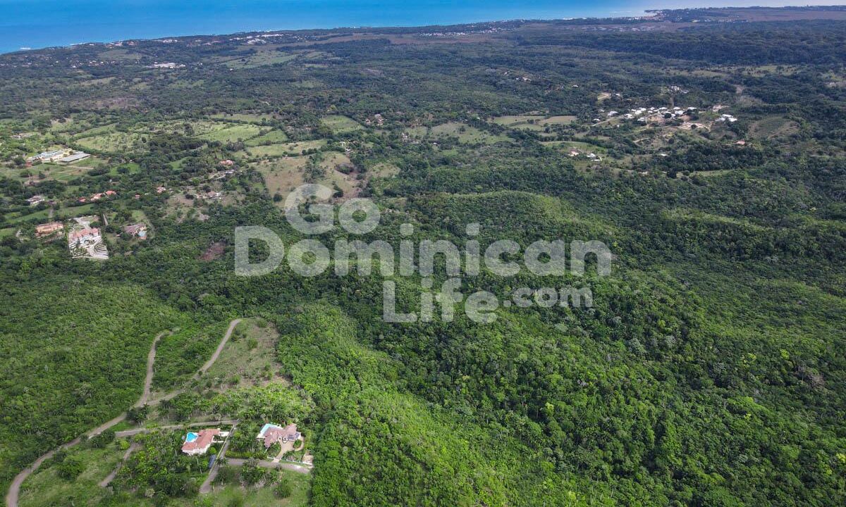 DJI_0645