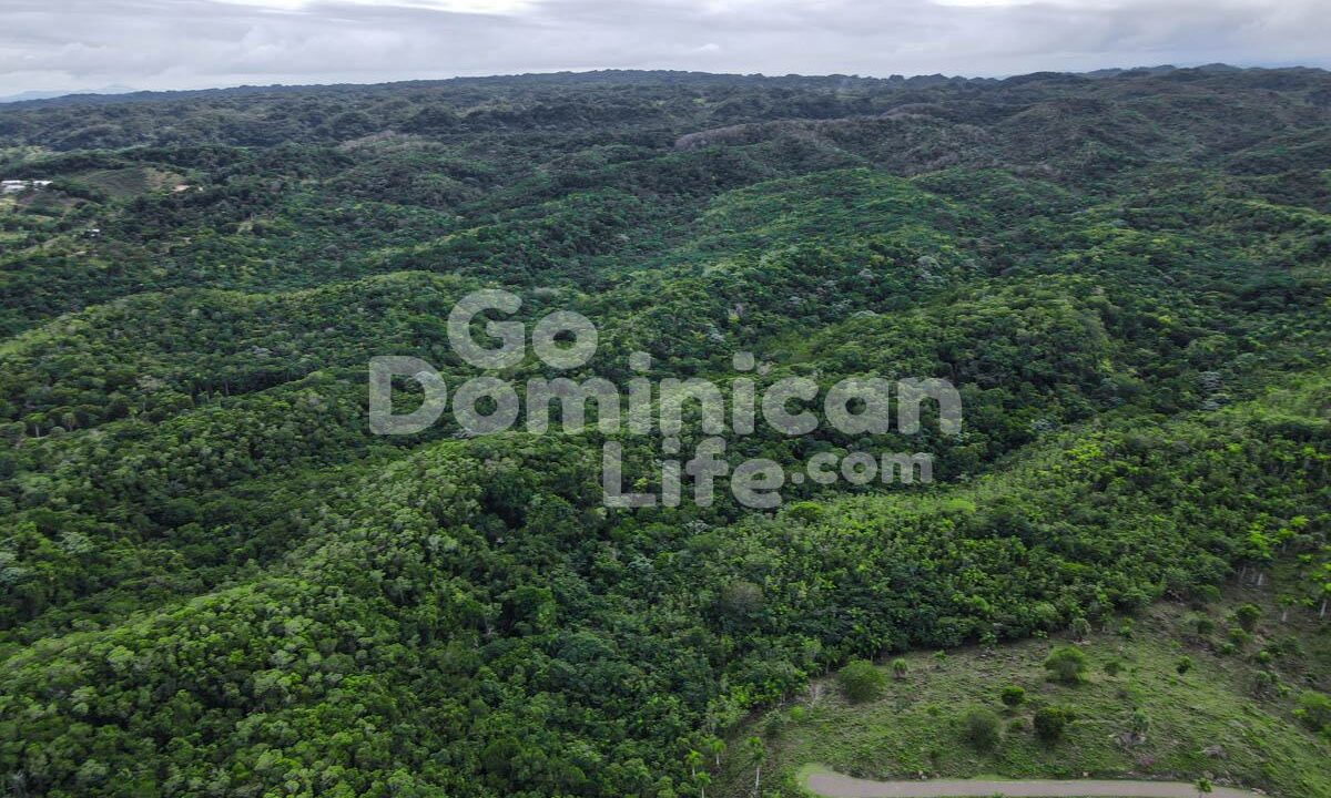 DJI_0679