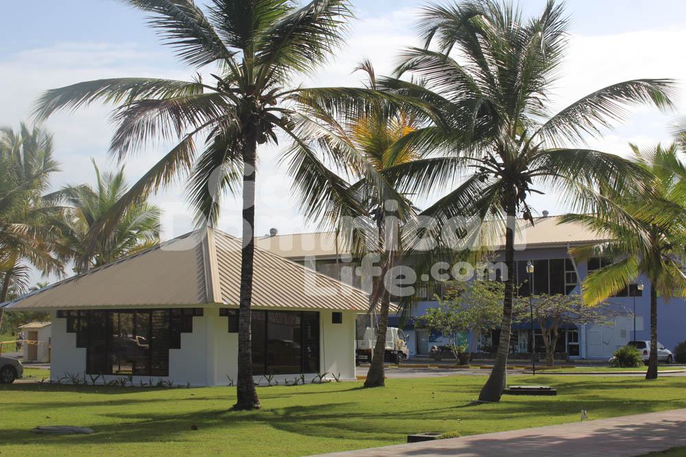 Commercial Retail Space Available in Popular Mall in Puerto Plata