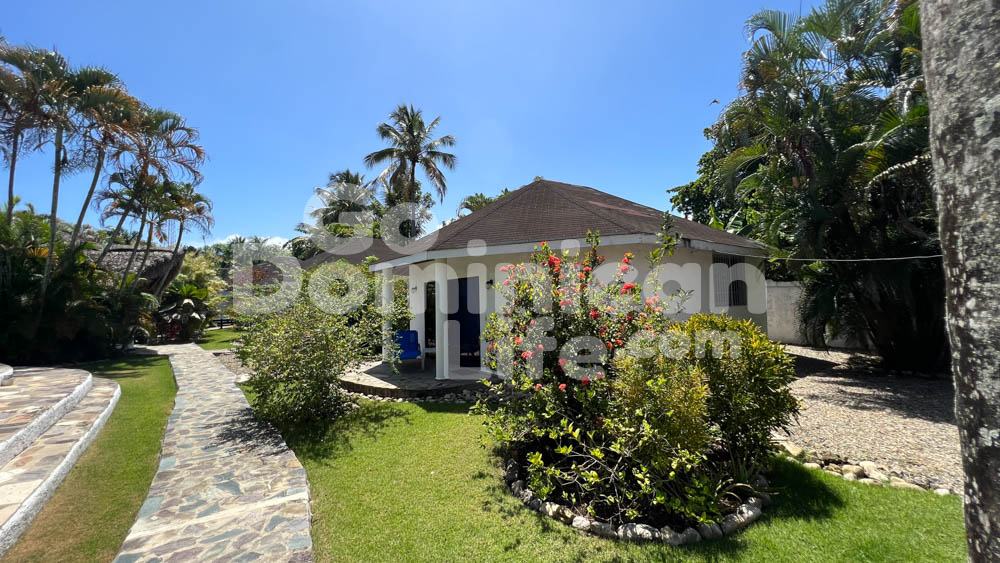 Coommercial-Property-in-Cabarete-42