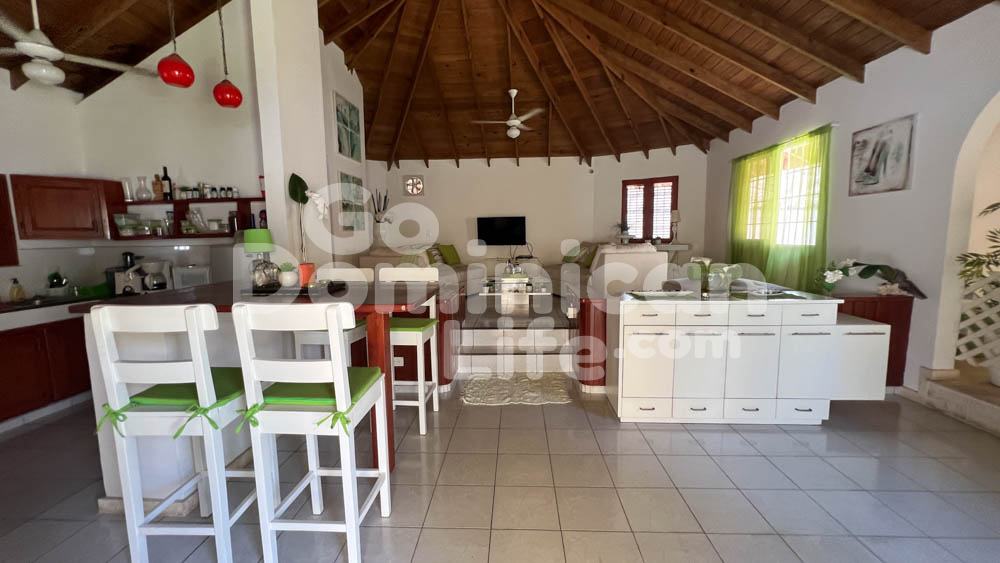 Coommercial-Property-in-Cabarete-52