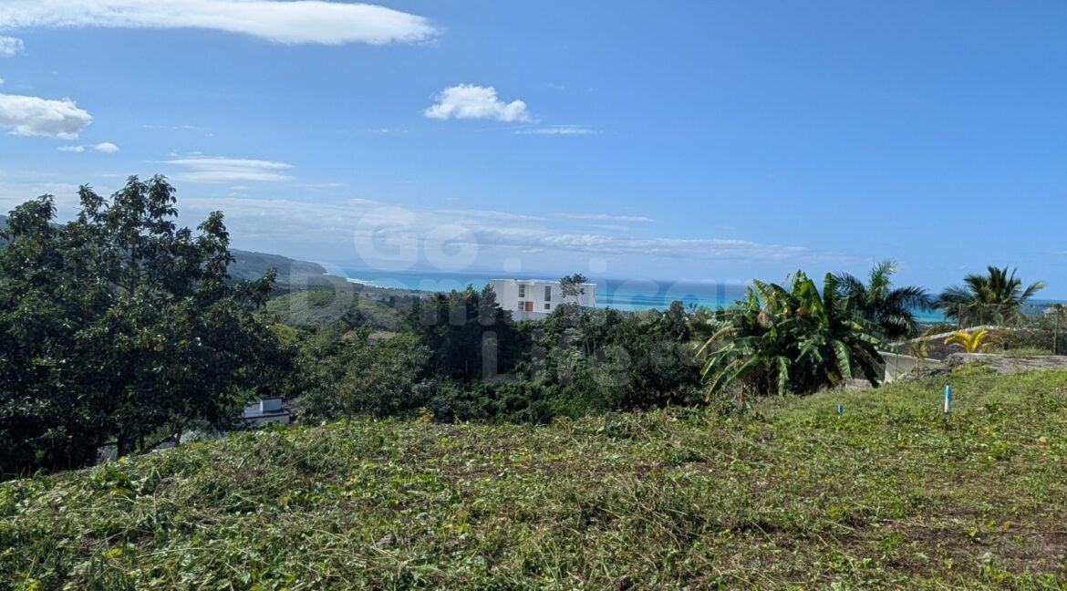 WhatsApp Image 2026-02-25 at 12.55.30 PM