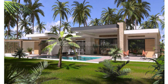 Modern and Luxurious Pre-Construction 4 Bedroom Villa with Pool V6