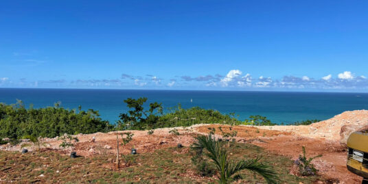 Stunning Oceanview Lots on the Hills with Roads, Water & Electricity