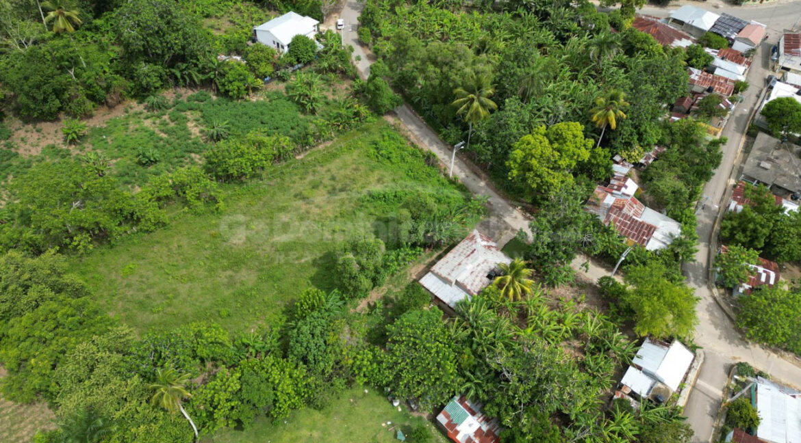 prime-jamao-del-norte-land-for-sale-ideal-for-home-and-griculture