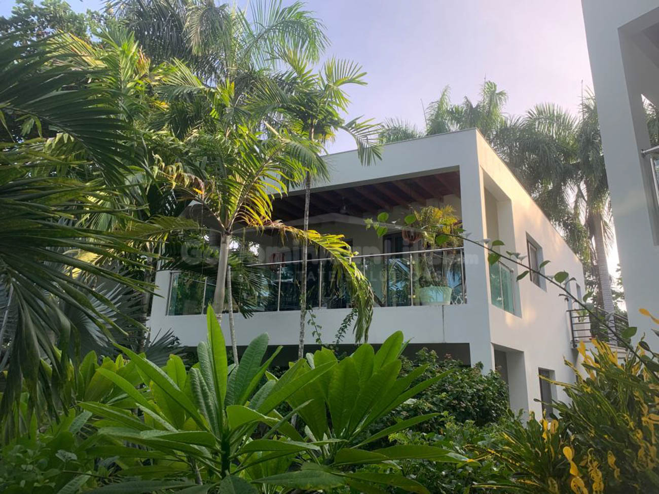 Lush Nature and Tranquil Surroundings in the Town of Cabarete