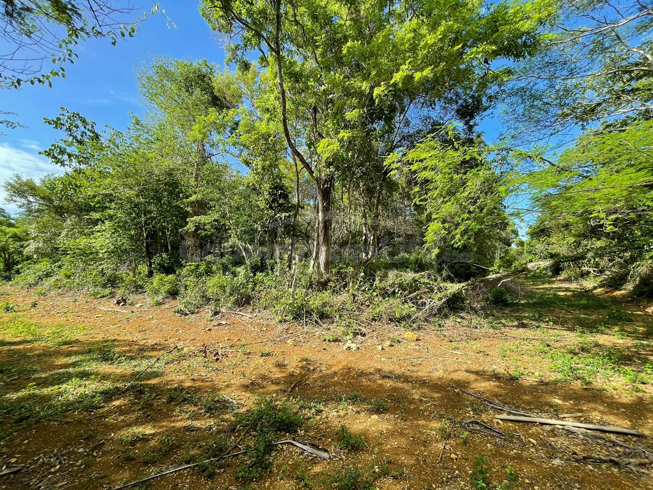 Large Plot in the Hills of Sosua, #11