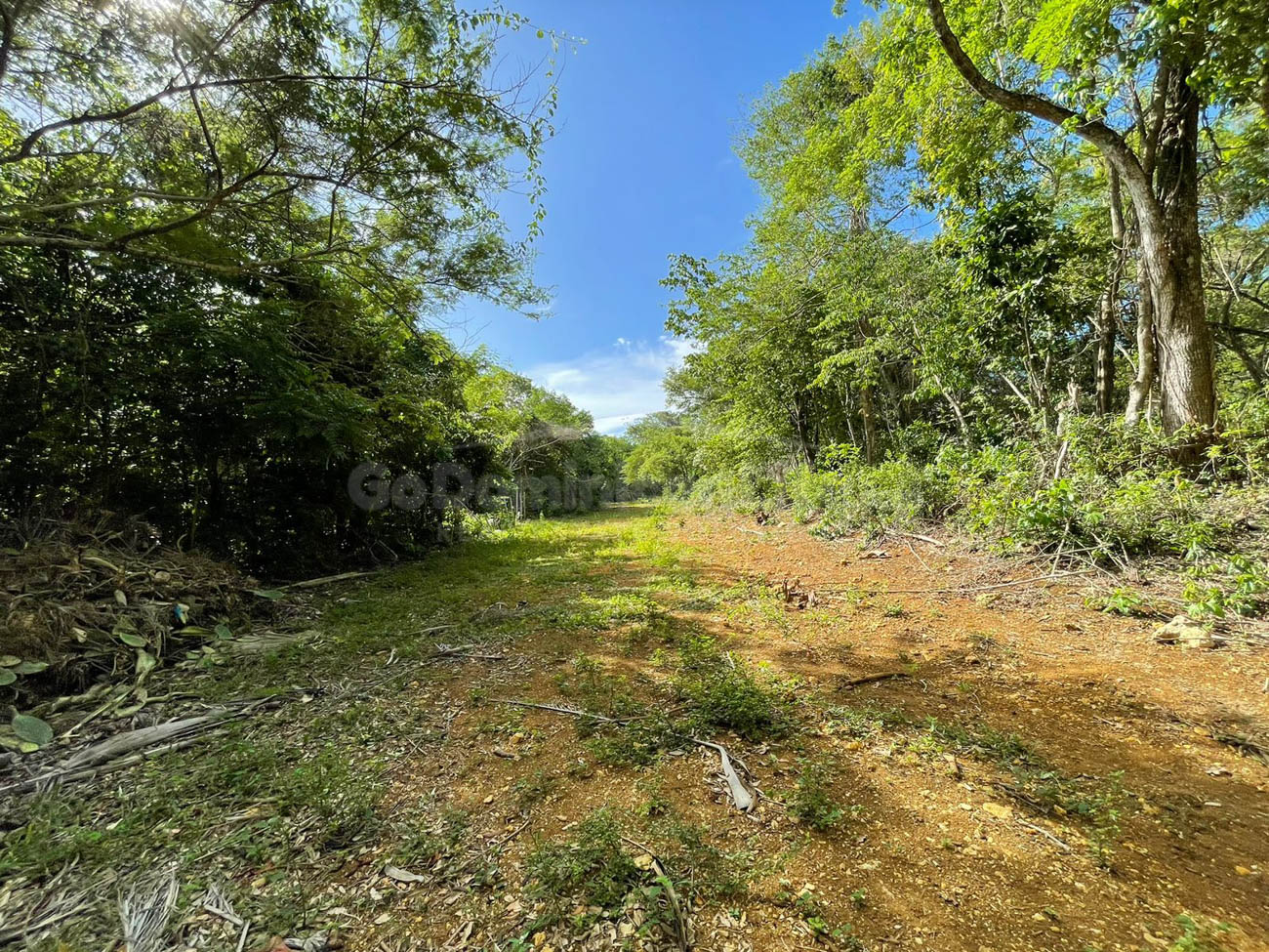 Several Building Lots in the Hills of Sosua
