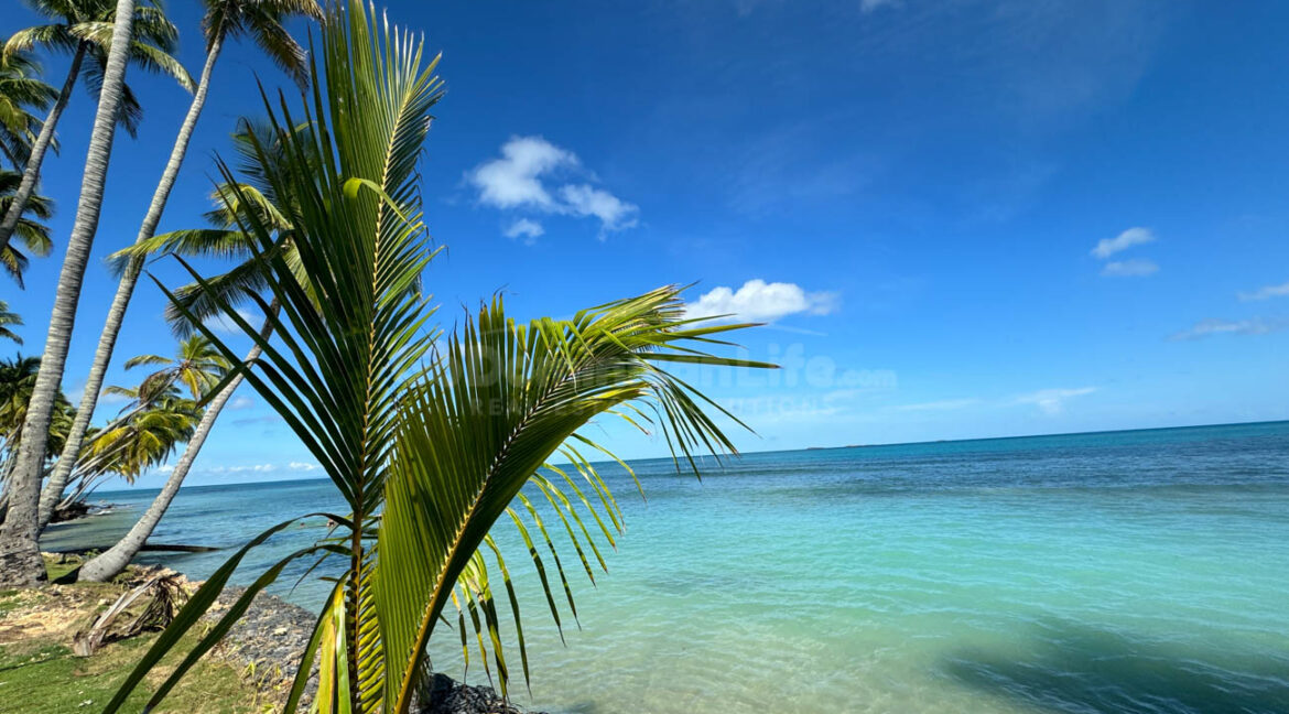 seaside-paradise-awaits-you-great-acre-of-tropical-splendor-13