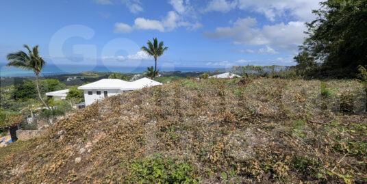 Welcome to a slice of paradise!