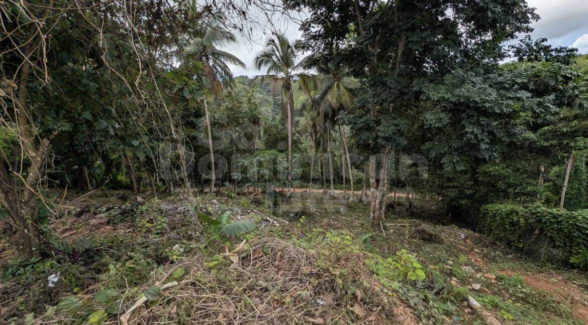 lasterrenas-land-3252m2-5