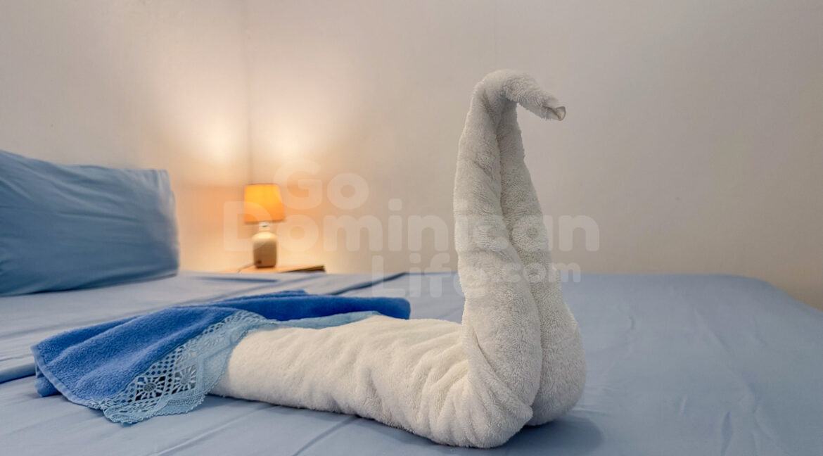 cabarete-commercial-11bed-30