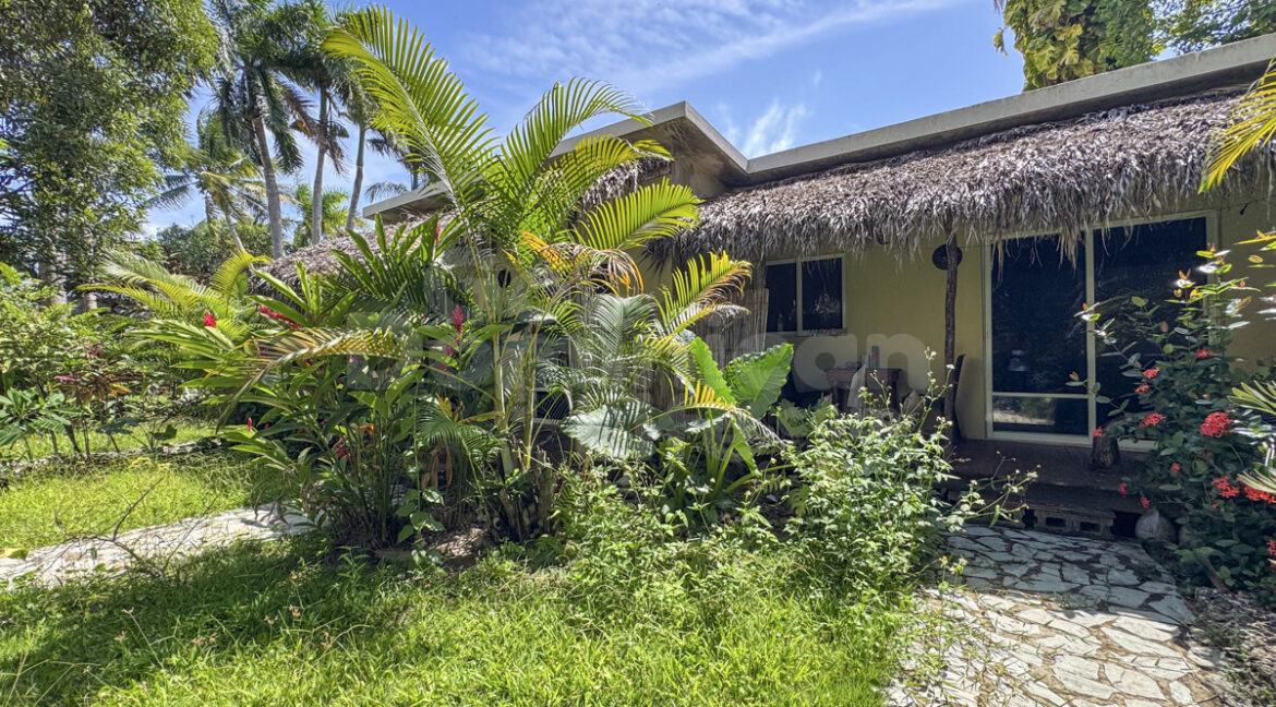 cabarete-commercial-11bed-32