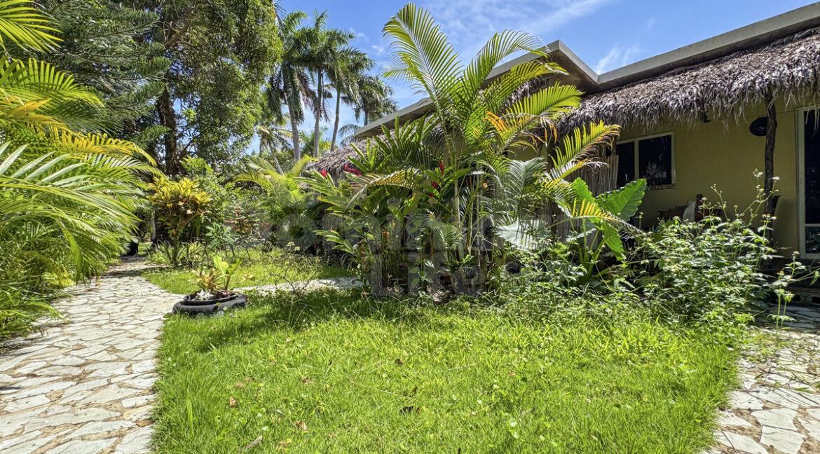 cabarete-commercial-11bed-33