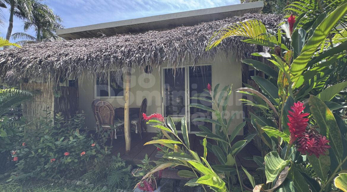 cabarete-commercial-11bed-34
