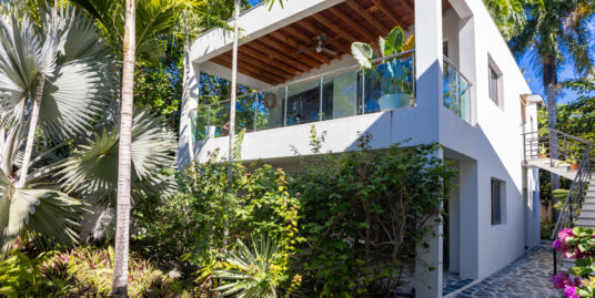 Lush nature and tranquil surroundings in the town of Cabarete