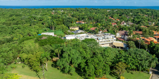 🌴 Beautiful Large Piece of Land in Prime Location 🌴