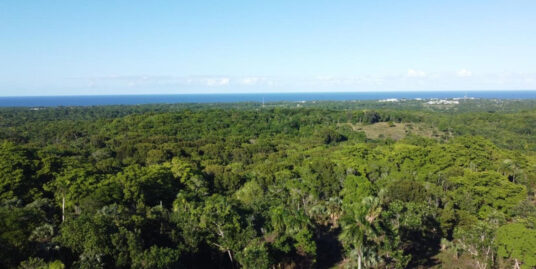 Stunning 110,000 sq meters of PRIME LAND FOR SALE in El Chocó – Ideal for Development