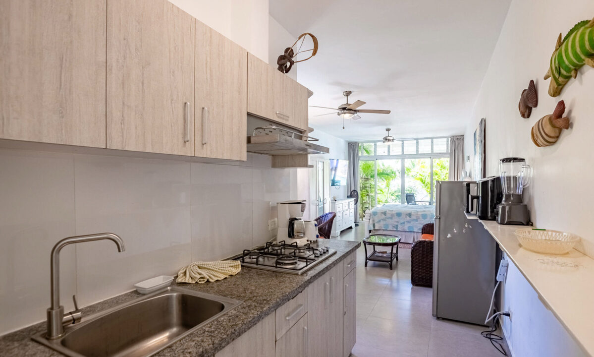cabarete-condo-1bed-1