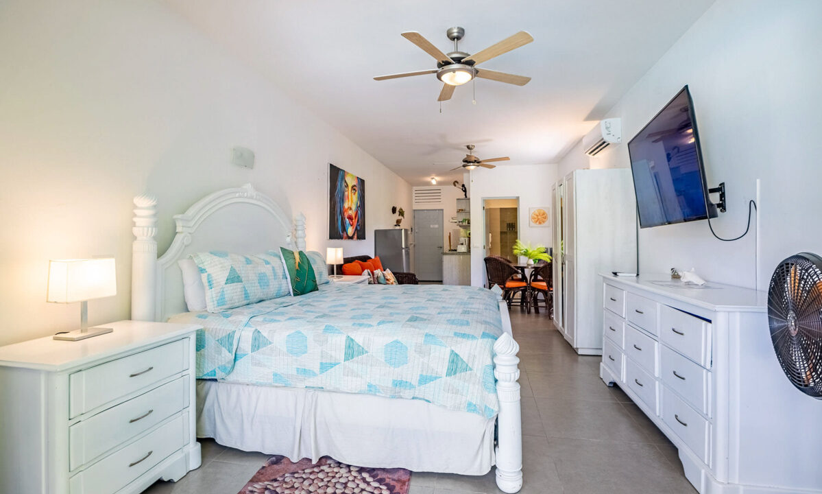 cabarete-condo-1bed-6