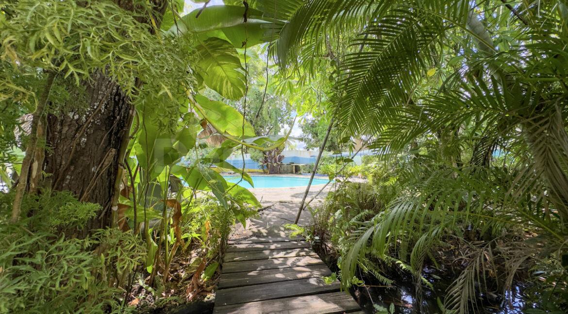 cabarete-business-4160m2-14