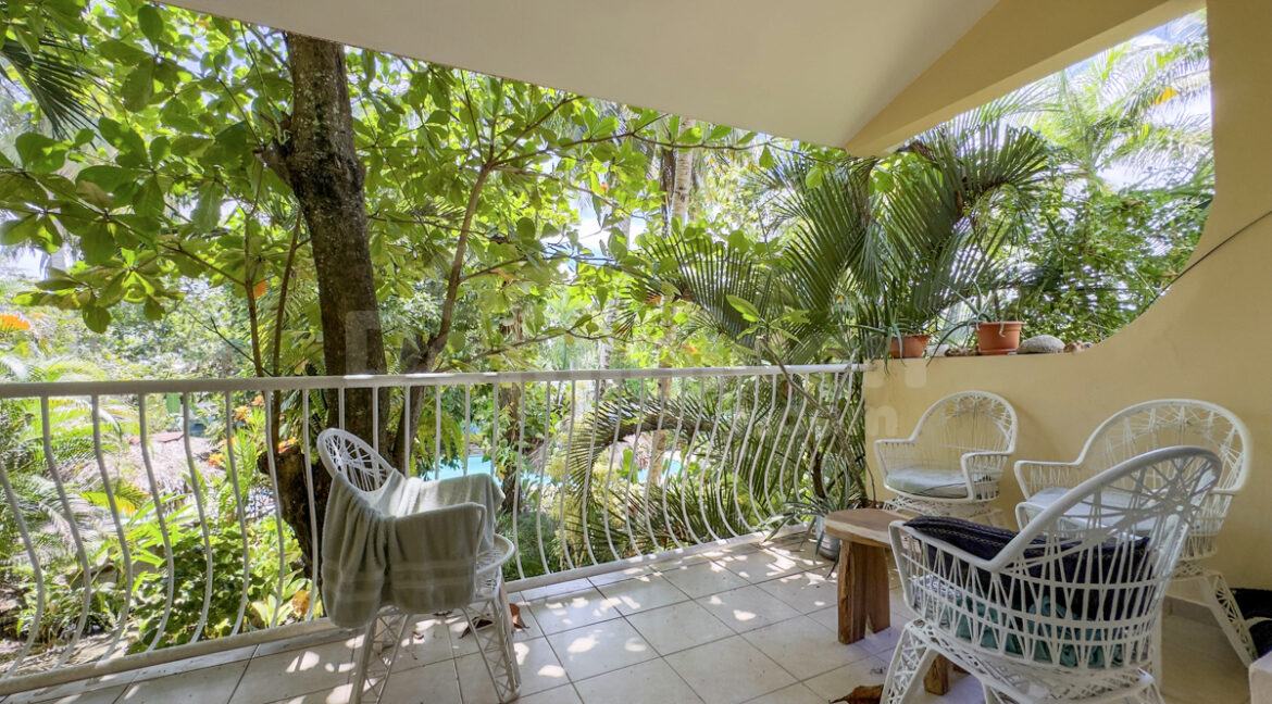 cabarete-business-4160m2-19