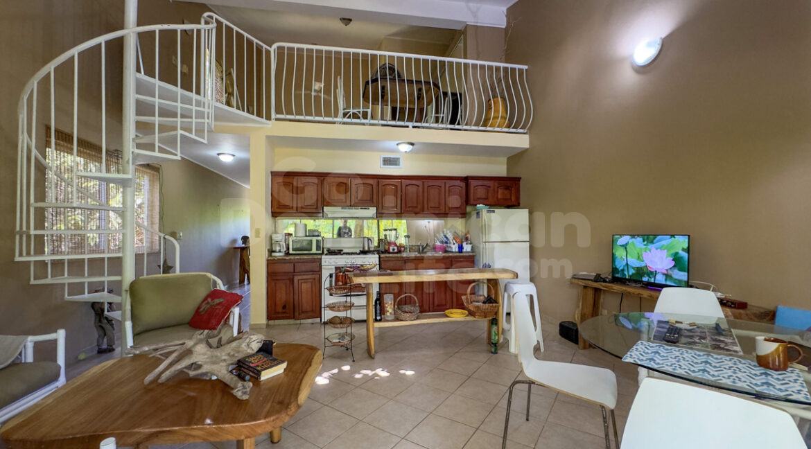 cabarete-business-4160m2-20