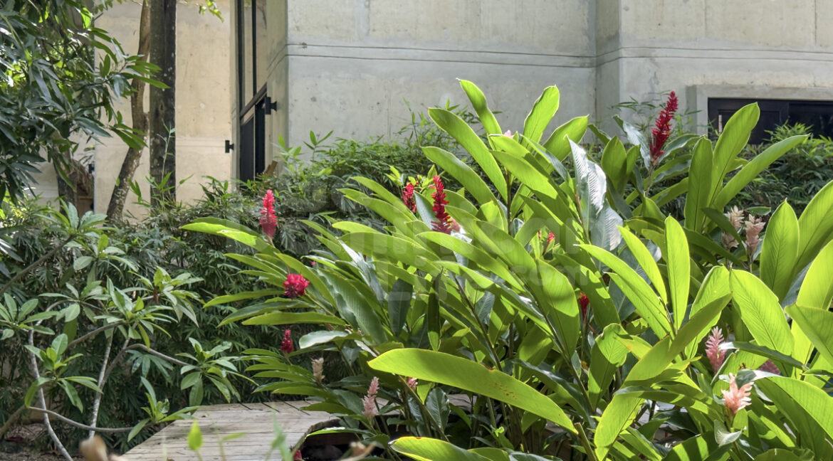 cabarete-villa-1bed-30