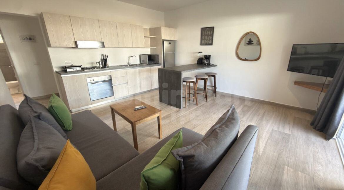 lasterrenas-condo-1bed-10