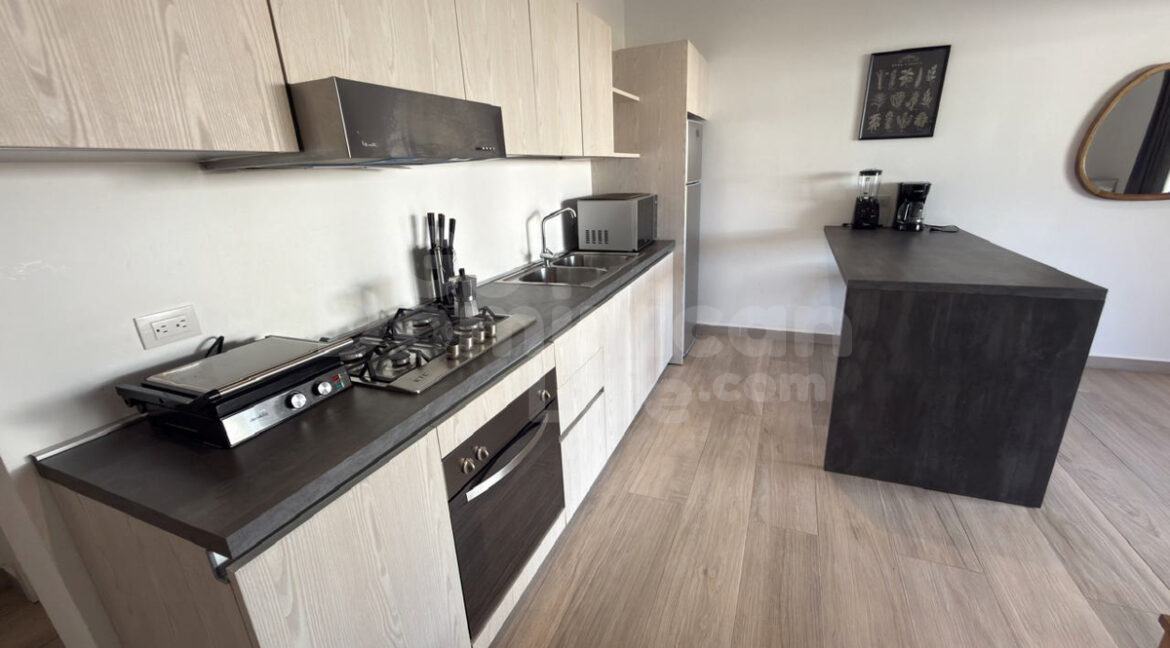 lasterrenas-condo-1bed-11