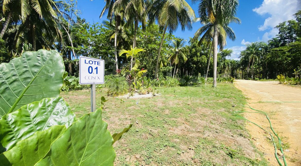 lasterrenas-land-cosonvillage-2