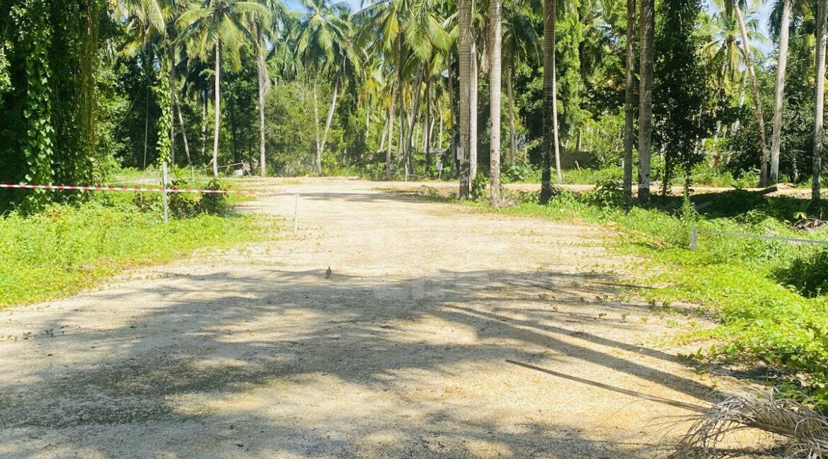 lasterrenas-land-cosonvillage-5