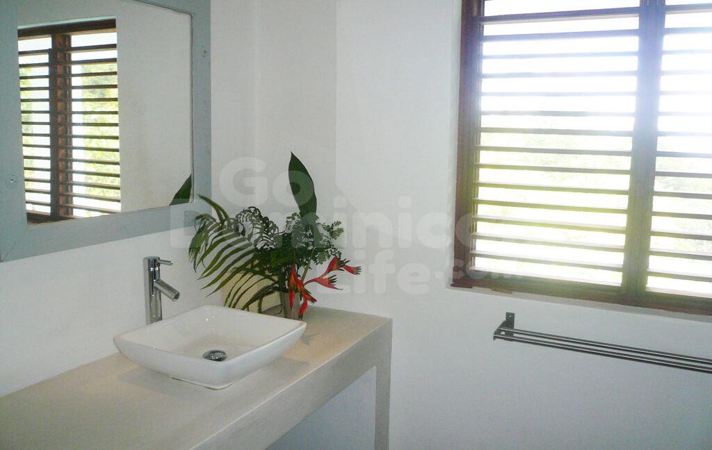 For-sale-two-villas-en-Coson-6