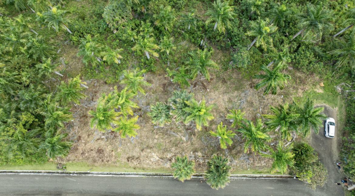 sosua-land-4558m2-5