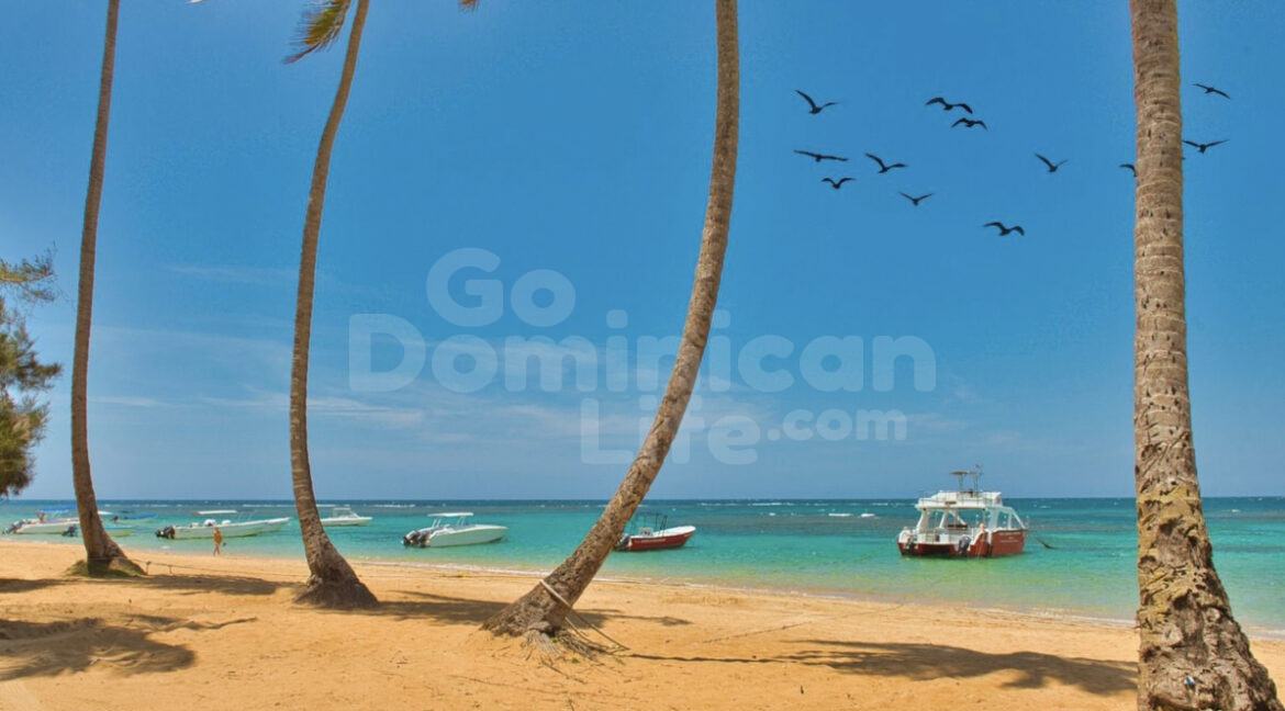 terrenas-commercialspace-810m2-5bed-6