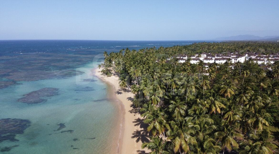 FOLLETO RENDERS - ARMONIA COSON